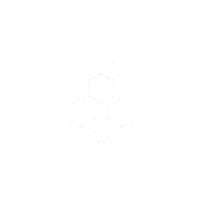iBee